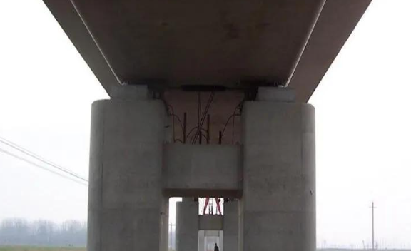 搜狗高速浏览器截图20260305172030.png